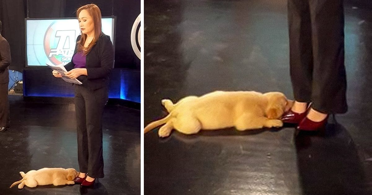 14 Photos That Can Color Even the Darkest Day