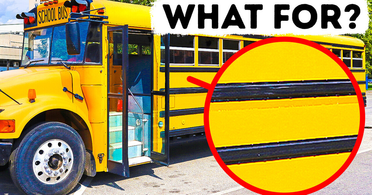 That’s What Black Lines on School Buses Are For That’s What Black Lines on School Buses Are For
