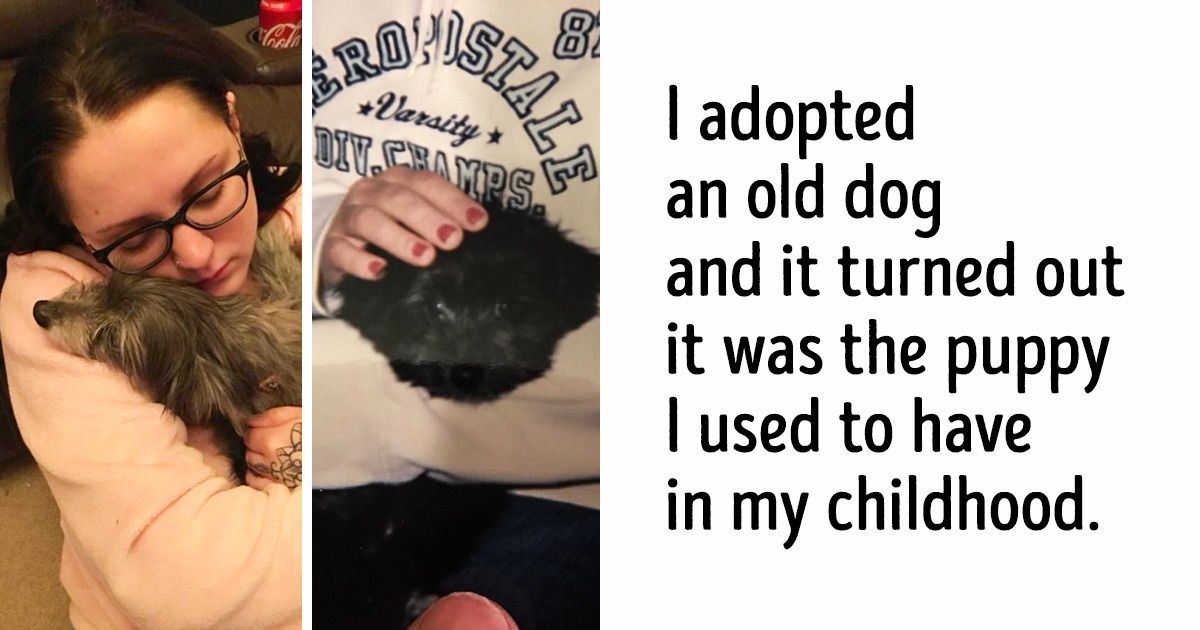 20+ Animals That Had a Surprise in Store for Their Owners 20+ Animals That Had a Surprise in Store for Their Owners