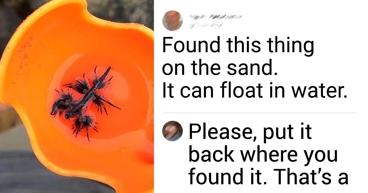 17 Times People Unexpectedly Witnessed a Tiny Miracle