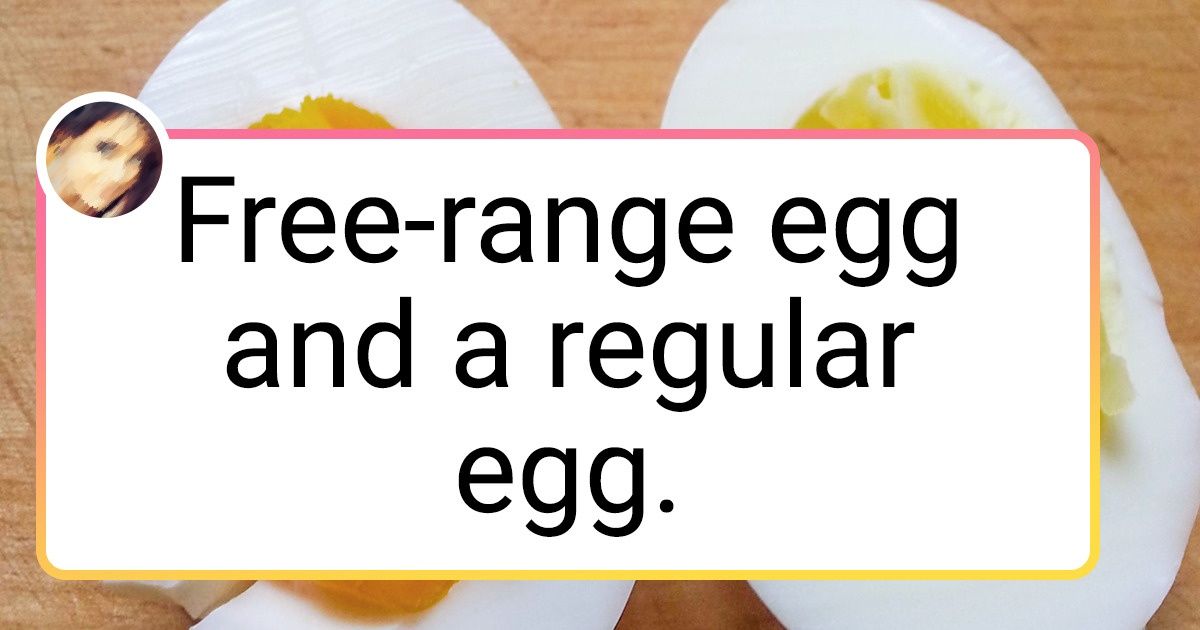 20 Times People Proved That Comparison Can Make a Phenomenal Difference