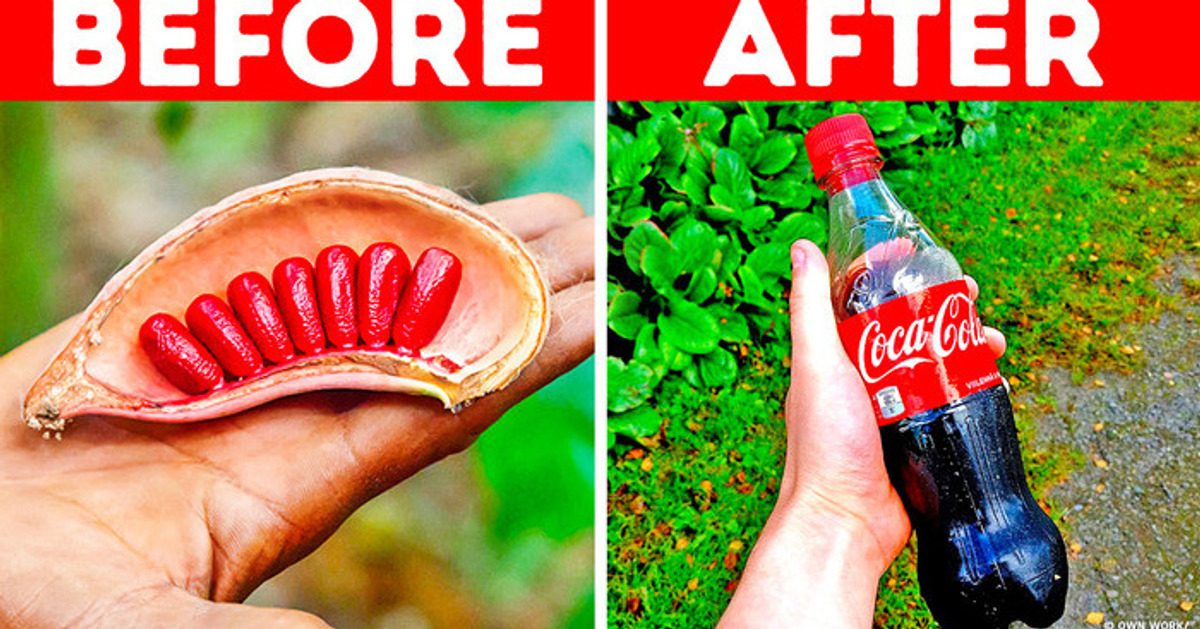 20 Everyday Items That Rely on Unexpected Ingredients 20 Everyday Items That Rely on Unexpected Ingredients