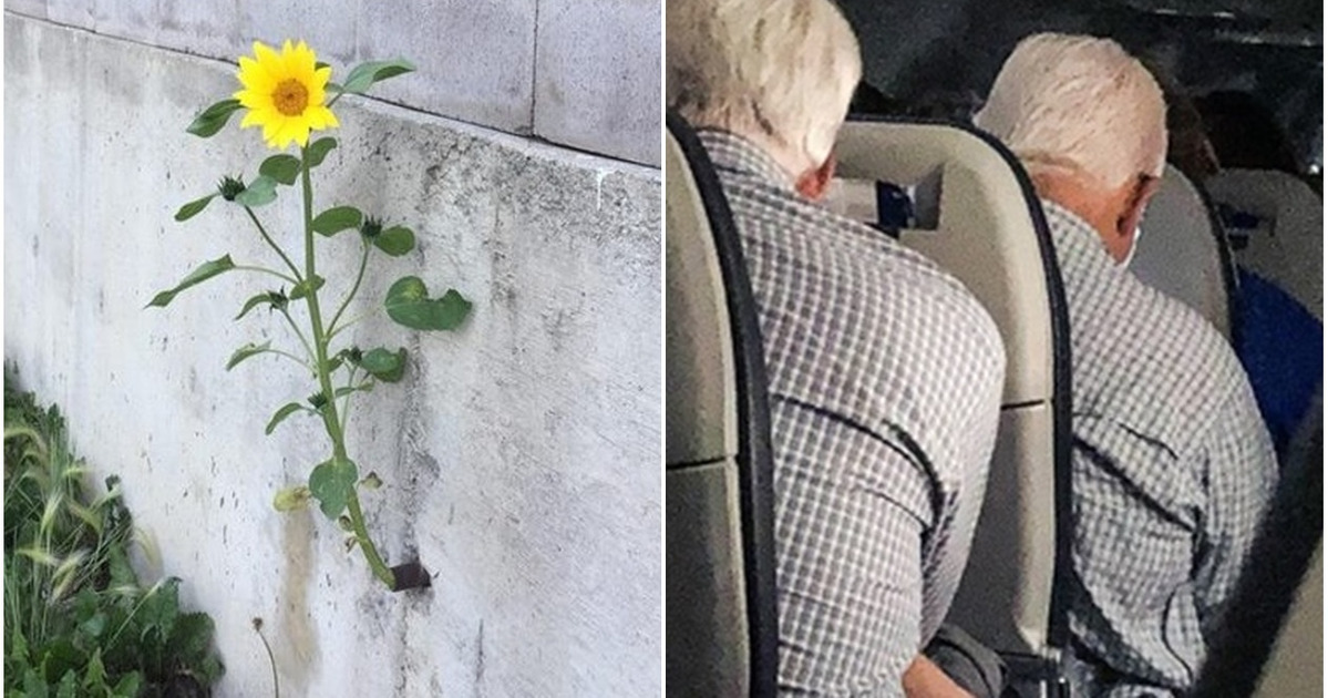 18 Crazy Things We Would Never Believe Existed If They Hadn’t Been Captured on Camera