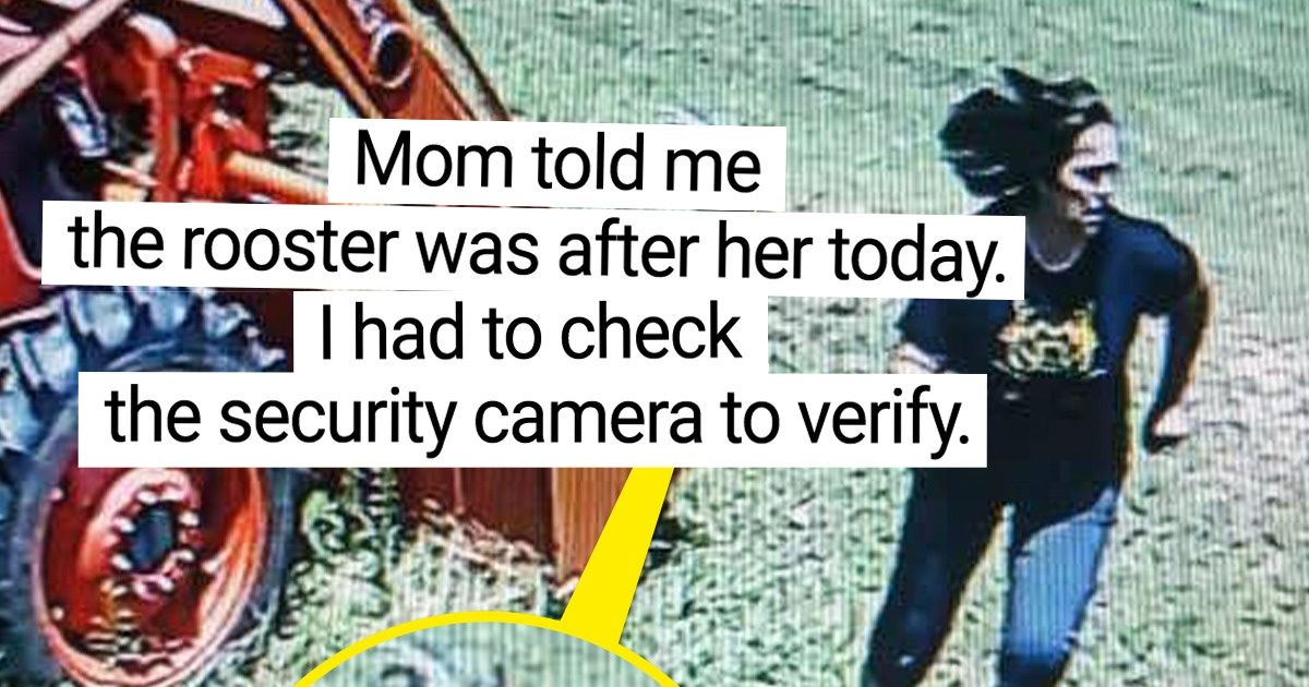 16 People Who Feel Proud of Their Parents No Matter What They Do