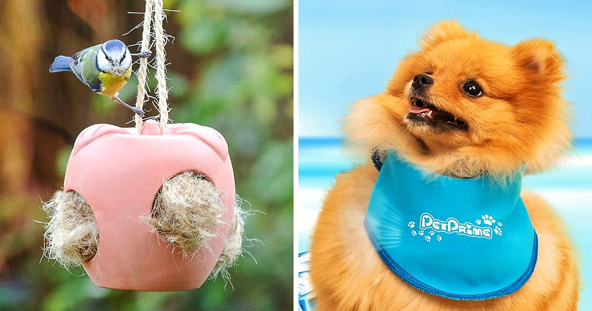 10 Amazon’s New Releases in Pet Supplies That Deserve Your Attention