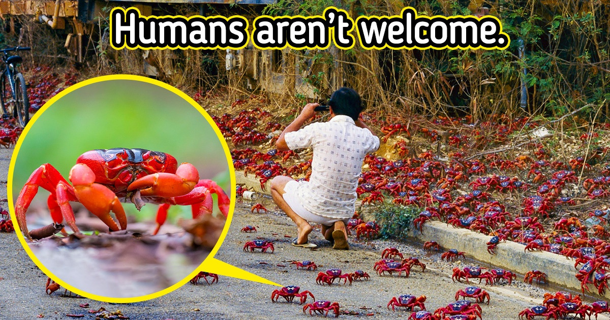 11 Jaw-Dropping Places That Can Transport You to a Parallel Universe