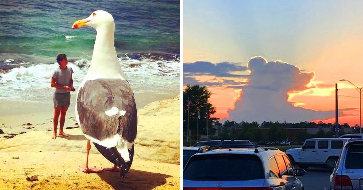 20+ Photos That Can Make You Question Your Own Vision