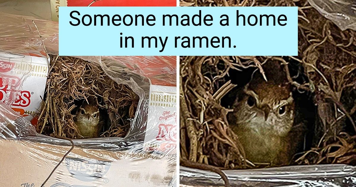 20 Times People Couldn’t Escape the Grip of Mother Nature 20 Times People Couldn’t Escape the Grip of Mother Nature