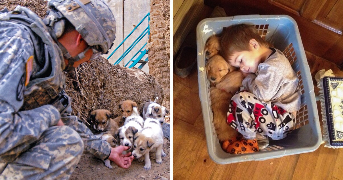 15 Pictures That Show Why We Need to Appreciate This Life 15 Pictures That Show Why We Need to Appreciate This Life