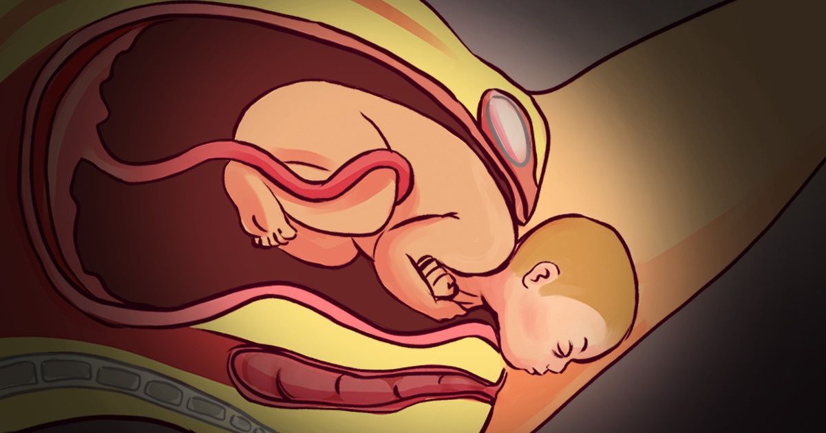 9 Fascinating Pregnancy Facts That Show a Woman’s Body Is Never Done Surprising Us