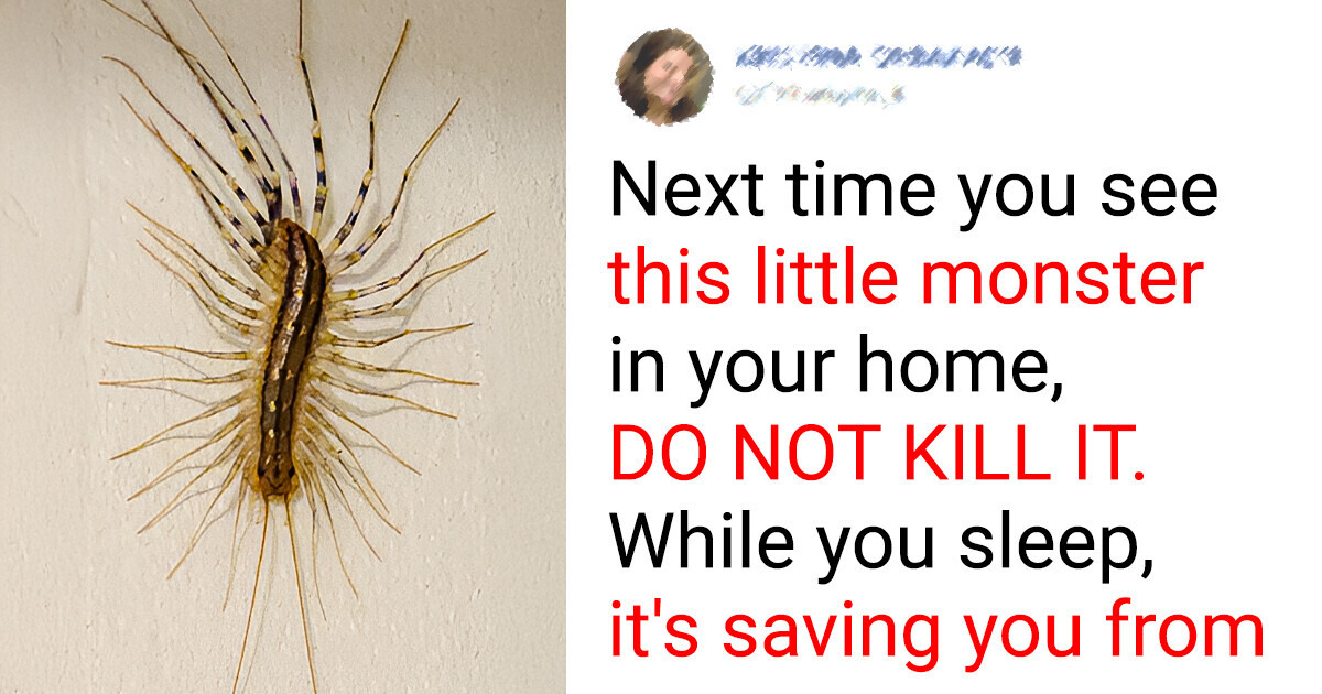 8 Animals That Help Save the Planet (and You!) Every Day 8 Animals That Help Save the Planet (and You!) Every Day