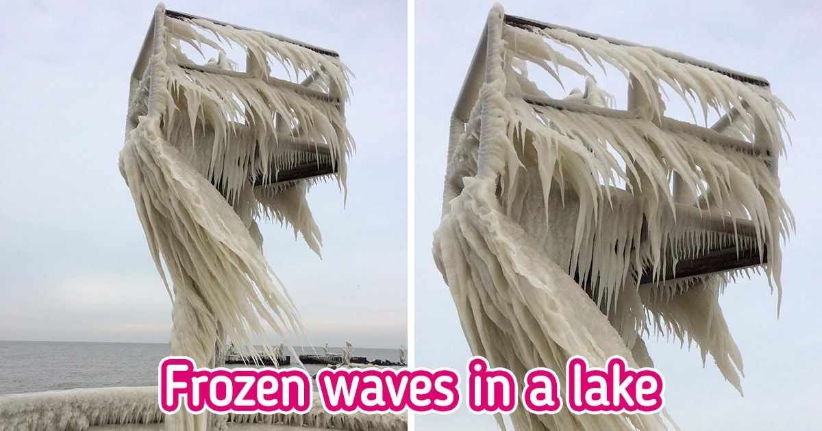 15+ Times People Witnessed Real Masterpieces When They Least Expected It