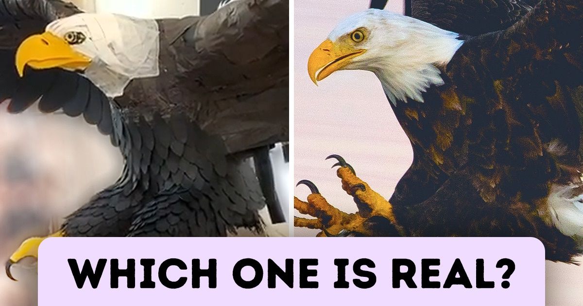 20 Paper Animals That Look Like They’re About to Get a Sip of Freedom