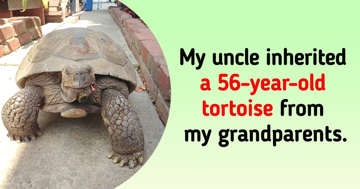 22 People That Were Fortunate Enough to Inherit Special Things 22 People That Were Fortunate Enough to Inherit Special Things