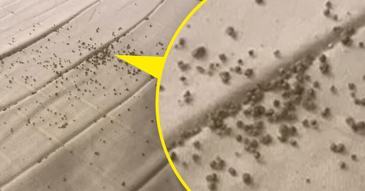17 Mysterious Things With a Purpose That’s Not Even Remotely Obvious 17 Mysterious Things With a Purpose That’s Not Even Remotely Obvious