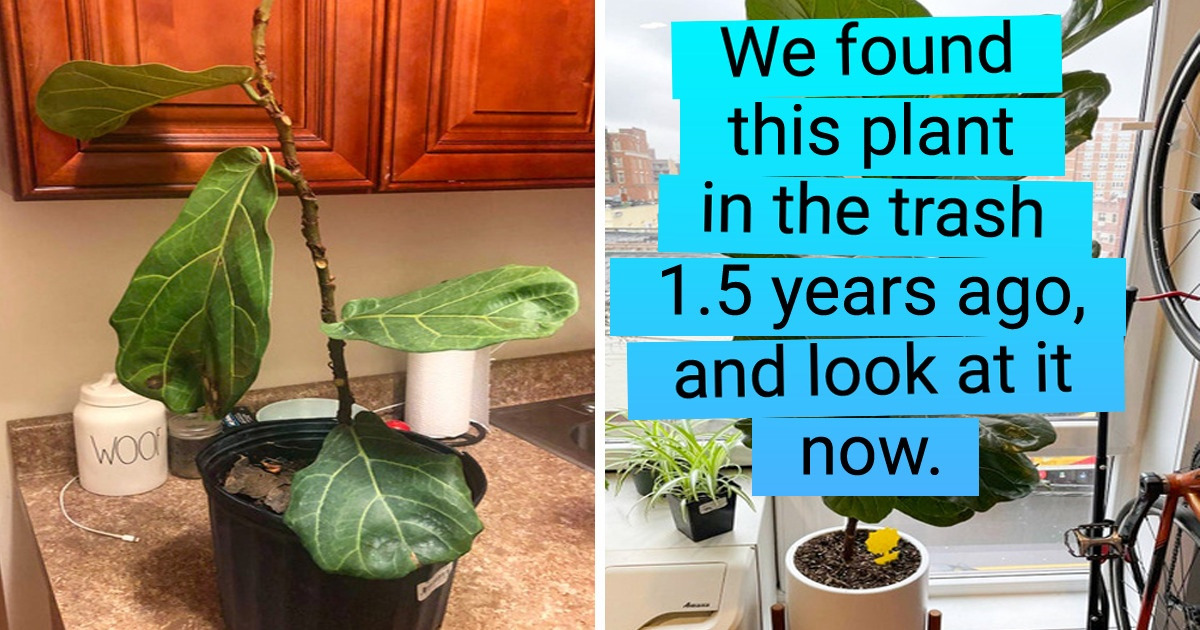 16 People Who Showed Their Achievements by Sharing “Before” and “After” Photos