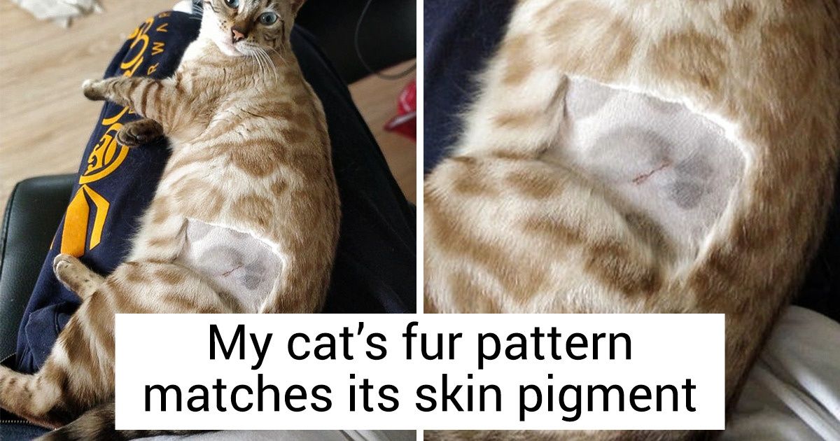 20 People Who Discovered Something Extraordinary and Couldn’t Resist Sharing It 20 People Who Discovered Something Extraordinary and Couldn’t Resist Sharing It