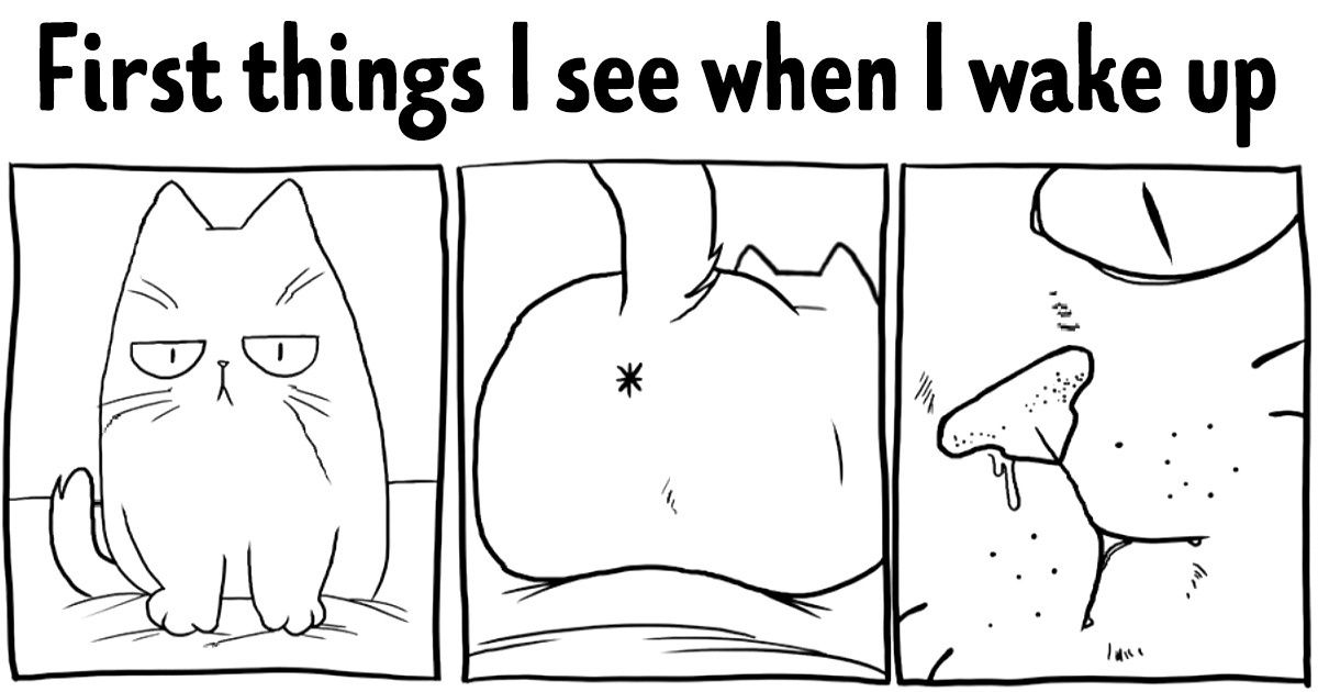 18 Comics Showing What the Life of a Cat Owner Is Like 18 Comics Showing What the Life of a Cat Owner Is Like