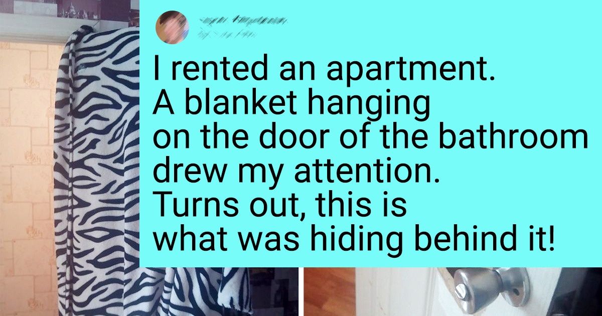 16 Rented Apartments That Turned Out to Be Full of Surprises 16 Rented Apartments That Turned Out to Be Full of Surprises