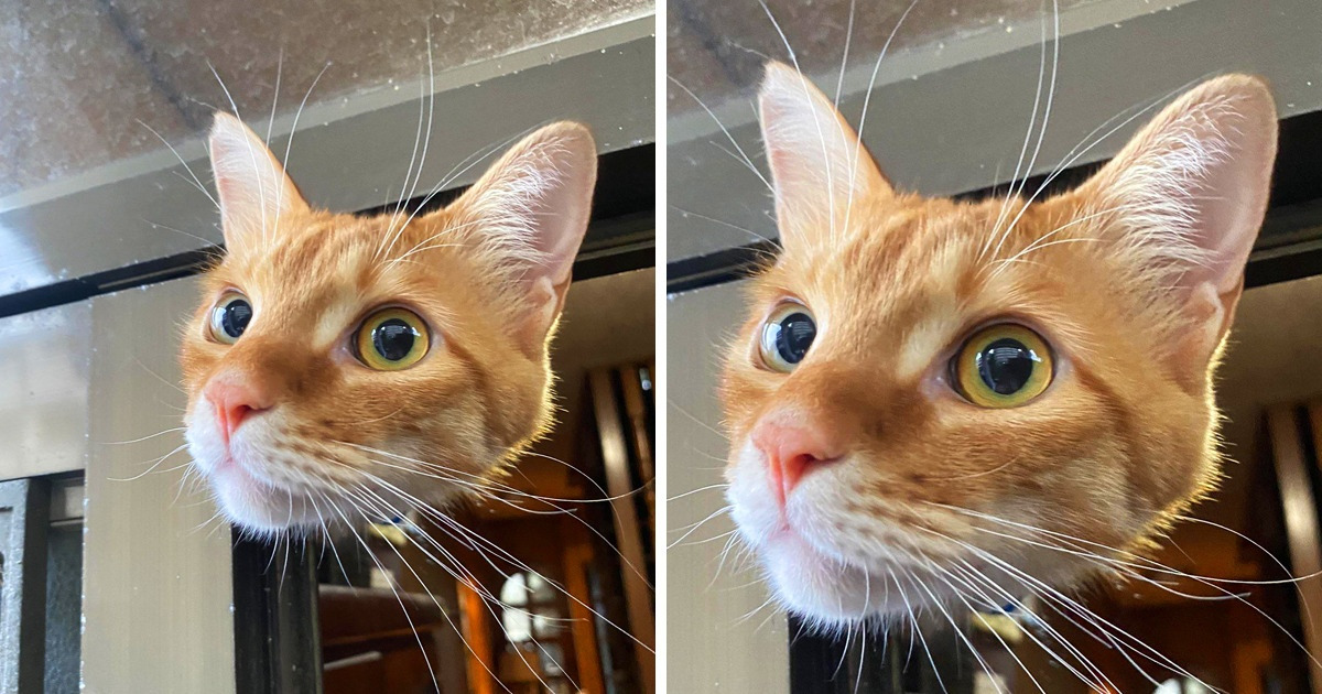 15 Pics That Prove Our Brains Are Really Easy to Trick