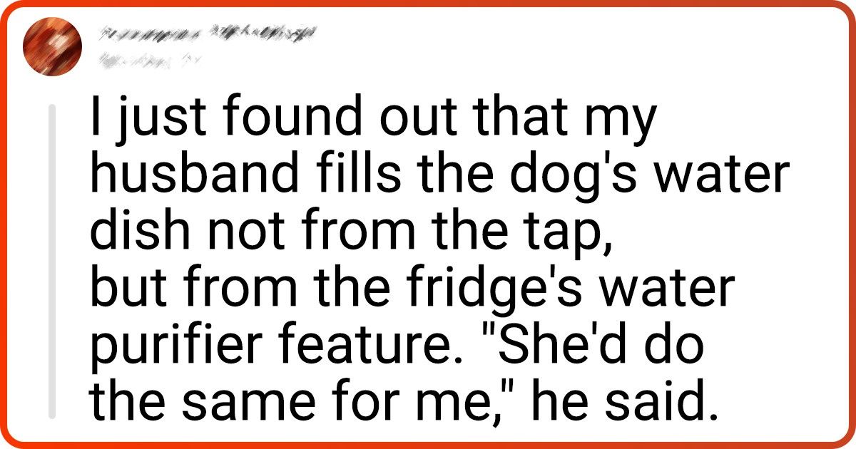 15+ Times Humans Unleashed Their Love for Dogs and Spoiled Them Rotten