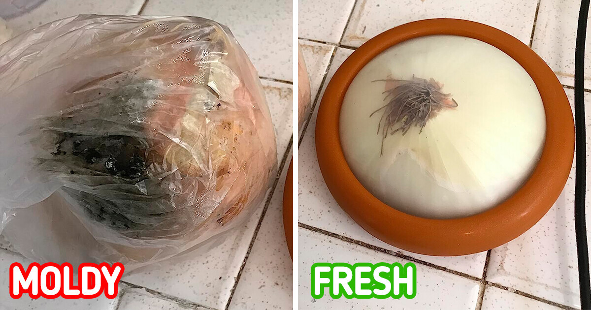 10+ TikTok Hits From Amazon That Will Have People Asking “Where Did You Get That?” 10+ TikTok Hits From Amazon That Will Have People Asking “Where Did You Get That?”