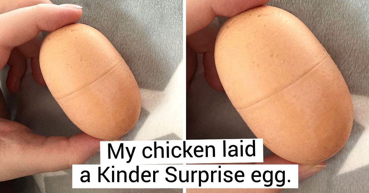 21 Surprises From Mother Nature That Can Lighten Up a Gloomy Day 21 Surprises From Mother Nature That Can Lighten Up a Gloomy Day