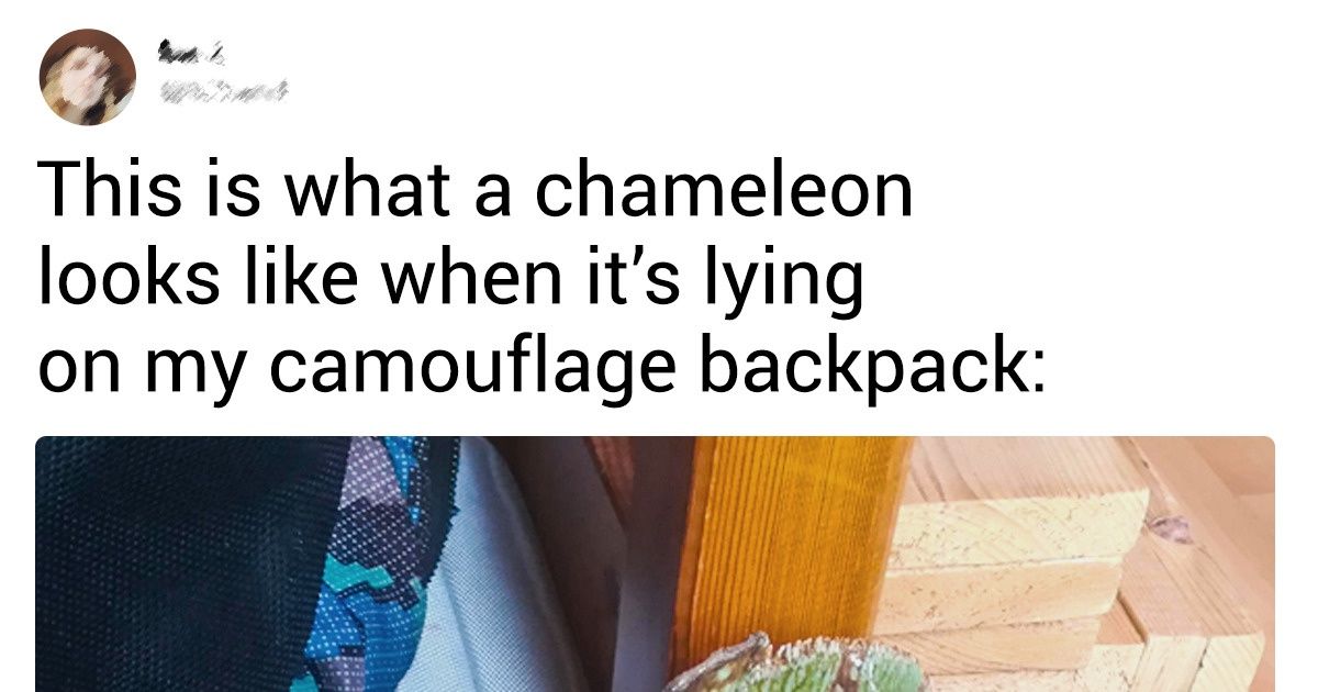 19 Examples That Prove How Much We Don’t Know About Ordinary Things 19 Examples That Prove How Much We Don’t Know About Ordinary Things