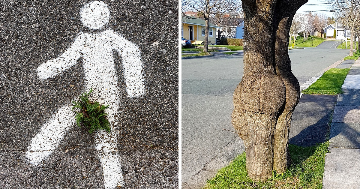 10+ Times Mother Earth Showed Us She Can Be Funny Too