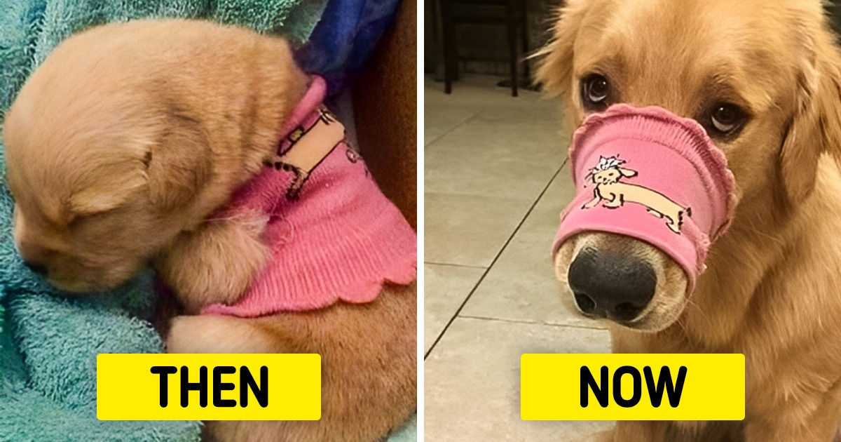 22 Heart-Wrenching Photos That Prove Time Will Never Come Back