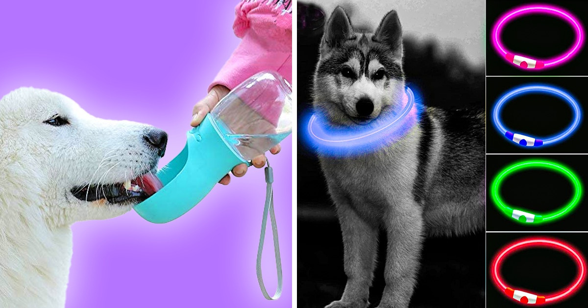 11 Pet Products You Won’t Believe You Lived Without 11 Pet Products You Won’t Believe You Lived Without