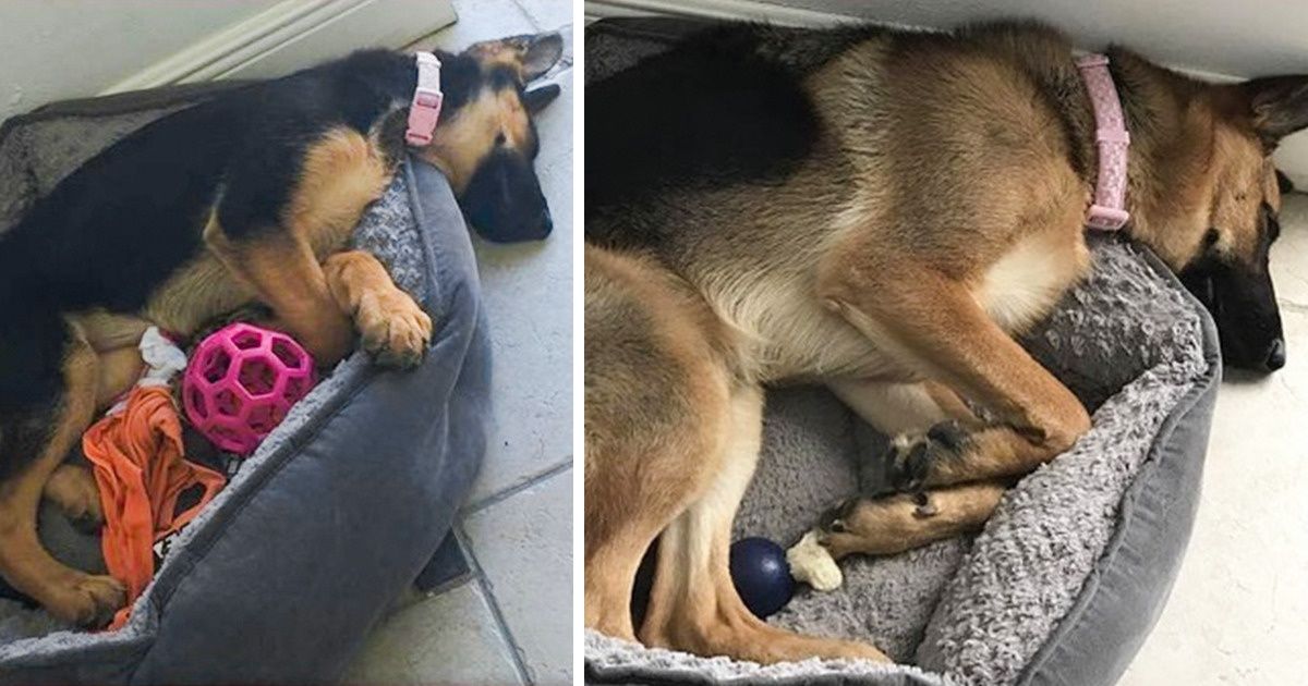 20+ Photos Showing That Some Things Never Change 20+ Photos Showing That Some Things Never Change