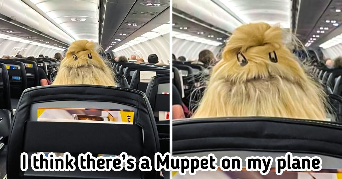 15+ Pics Where Items Pretended to Be Something Else
