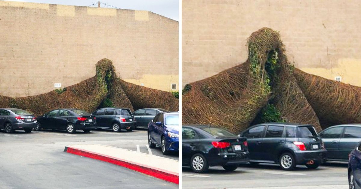 20 Times People Spotted Something Truly Unusual on Their Ordinary Day