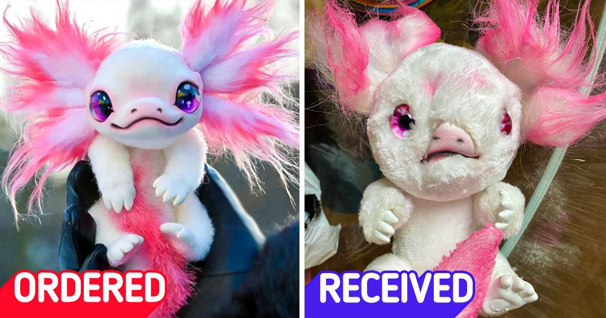 16 People Who Didn’t Receive What They Were Expecting