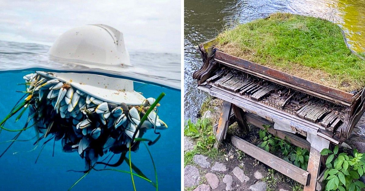 18 Pictures That Prove Nature Always Finds a Way to Claim Back What’s Hers 18 Pictures That Prove Nature Always Finds a Way to Claim Back What’s Hers