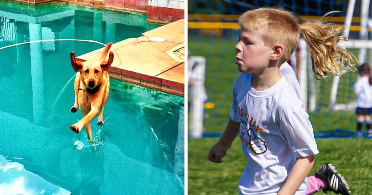 15 Perfectly Captured Pics Whose Photographers Should Be Awarded