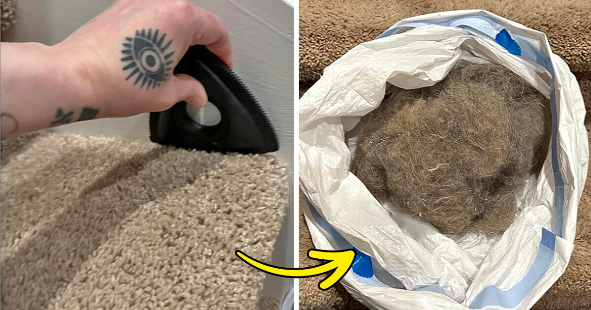 15 viral products that can elevate life at home 15 viral products that can elevate life at home