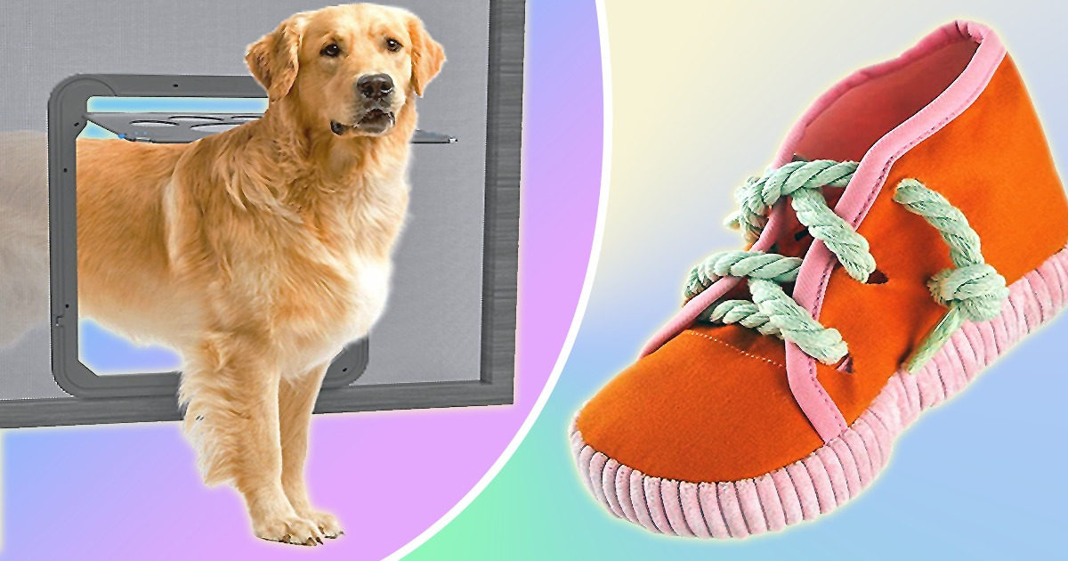 8 Highly-Rated Goods From Amazon for Pet Lovers thumbnail