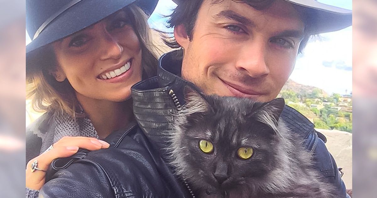 10 Kind-Hearted Celebrities Who Adopted Their Pets 10 Kind-Hearted Celebrities Who Adopted Their Pets