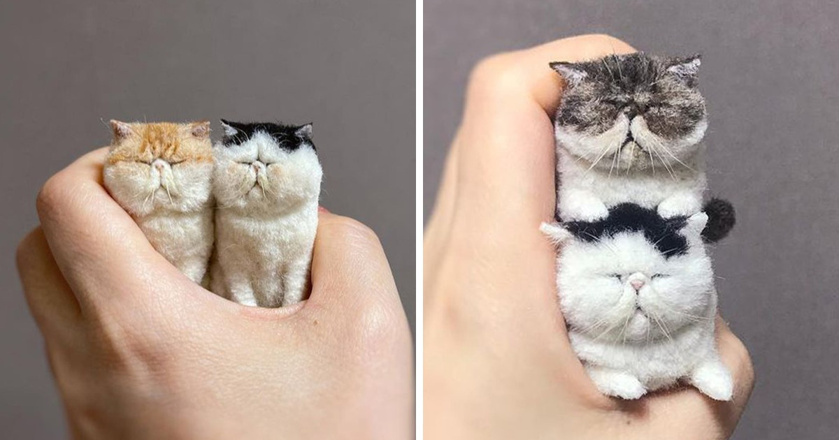 These Tiny Felt Animals Are Melting the Hearts of Netizens and They Can Add Some Cuteness to Your Day Too These Tiny Felt Animals Are Melting the Hearts of Netizens and They Can Add Some Cuteness to Your Day Too