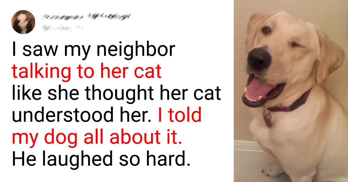 10+ Photos That Prove Owning Pets Is Like Having a Party Every Day