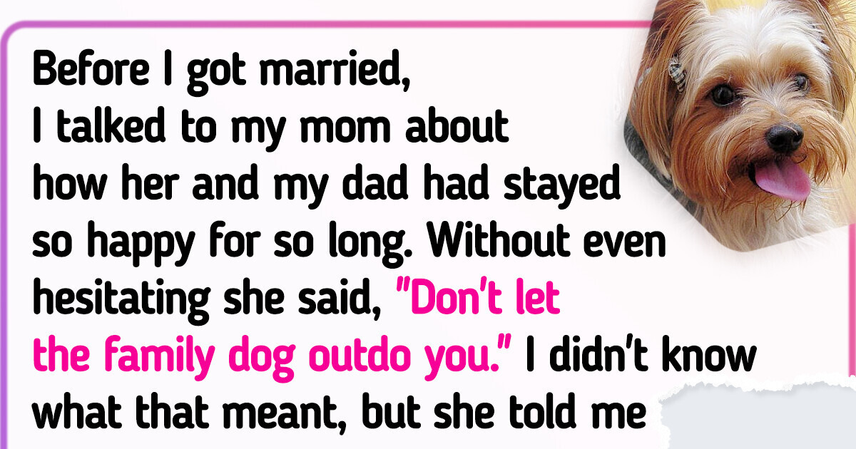 20+ Real-Life Secrets of a Happy Marriage That People Shared Online 20+ Real-Life Secrets of a Happy Marriage That People Shared Online