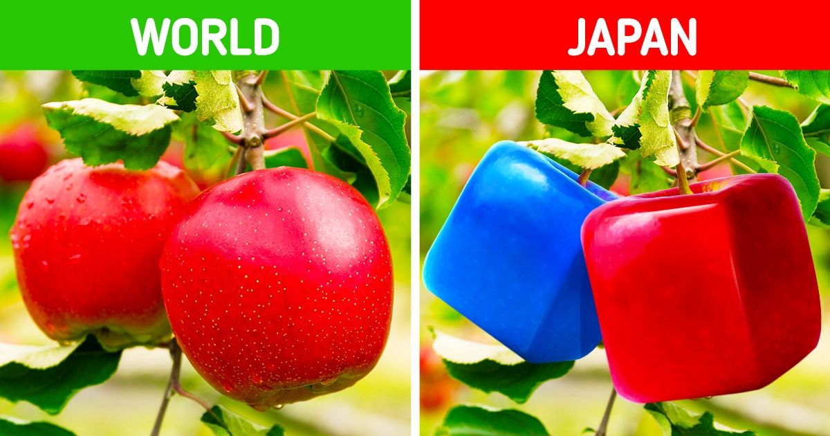 9 Times Asia Was Way Ahead of the Curve 9 Times Asia Was Way Ahead of the Curve