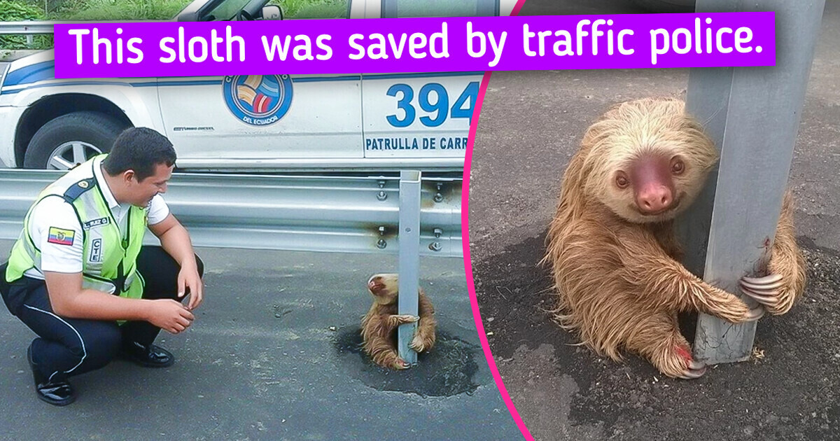 20 People Who Found Something Intriguing One Day
