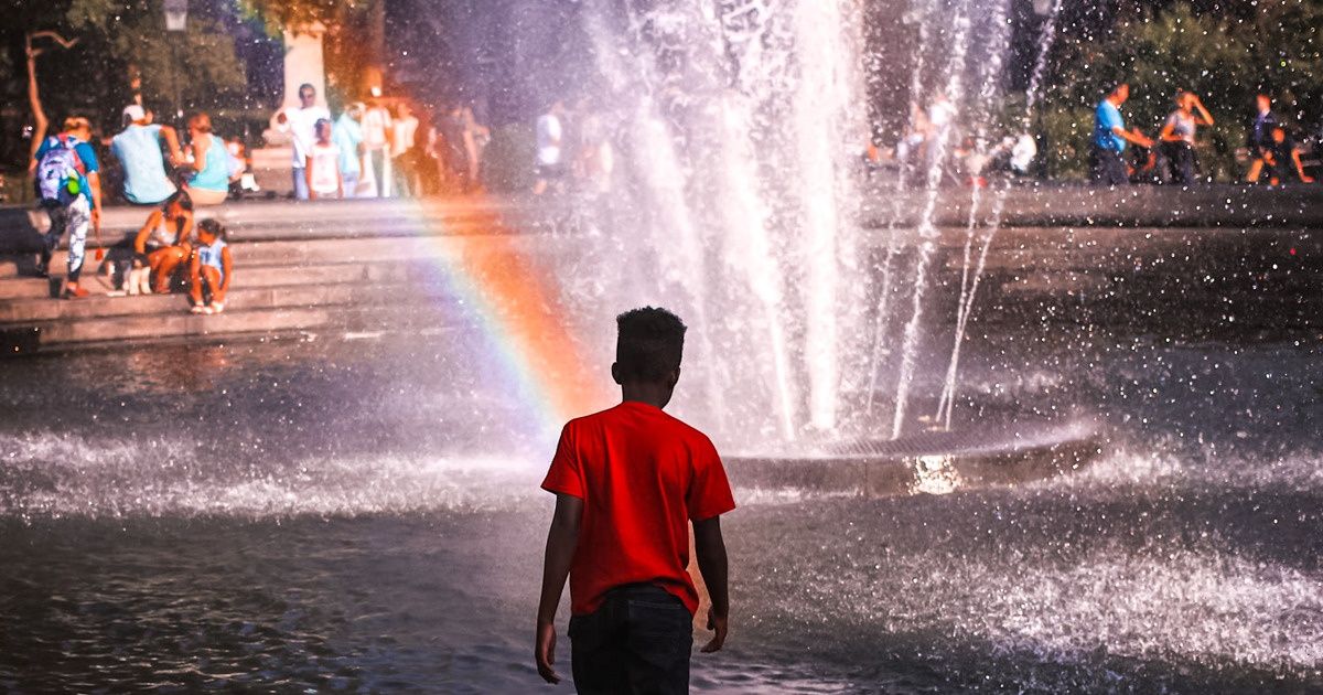 The Photographer’s Way: 4 Fascinating Stories About Becoming a Visual Artist