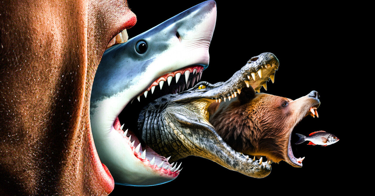 We Are Not at the Top of the Food Chain, and Here’s Why