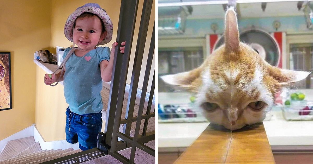 20 Images That Show How the Angle Can Deceive Even the Sharpest Eye 20 Images That Show How the Angle Can Deceive Even the Sharpest Eye