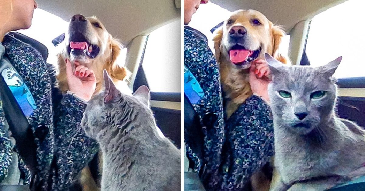 15 Unexpected Photos That Show What Real Drama Looks Like