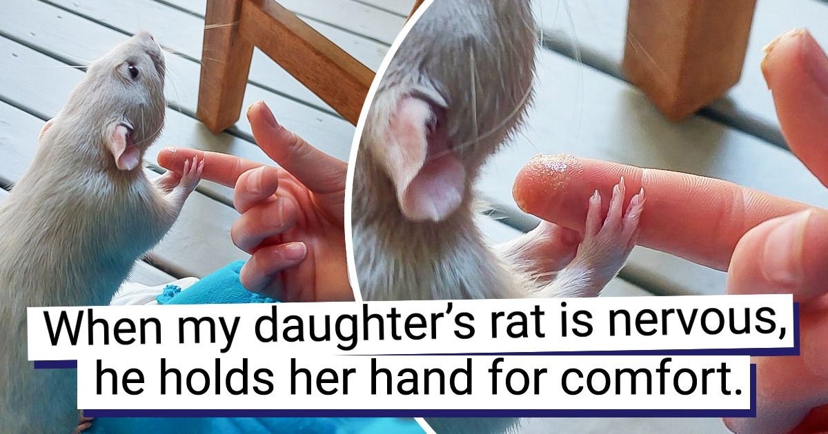 15 Cuddly Photos That Can Make You Feel Cozy and Warm